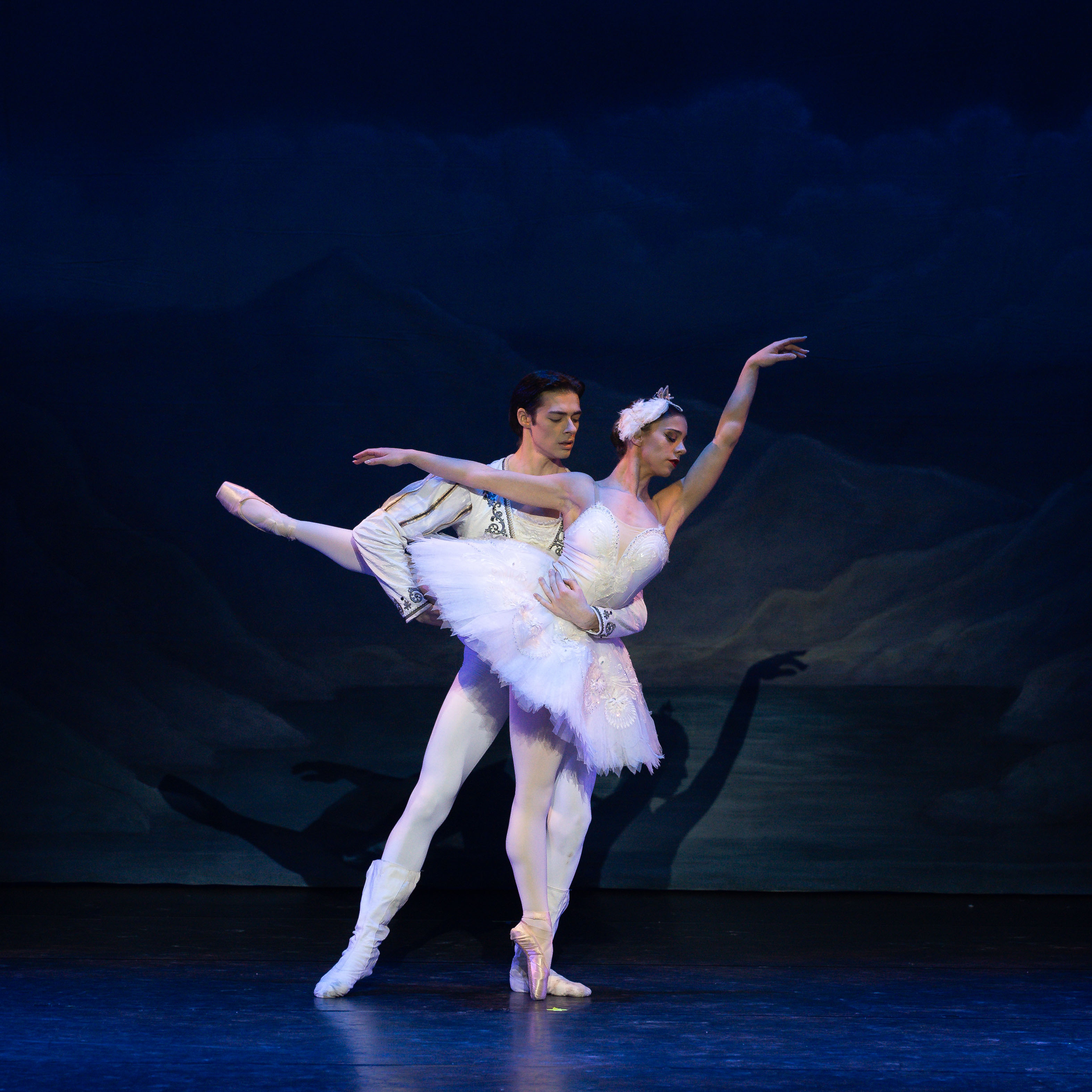 Swan Lake